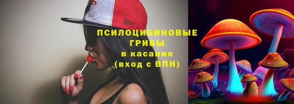 каннабис Новокубанск