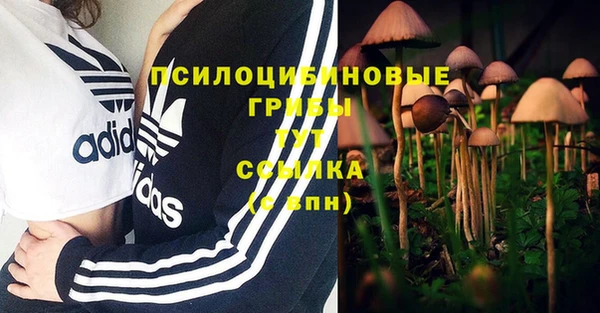 твердый Няндома