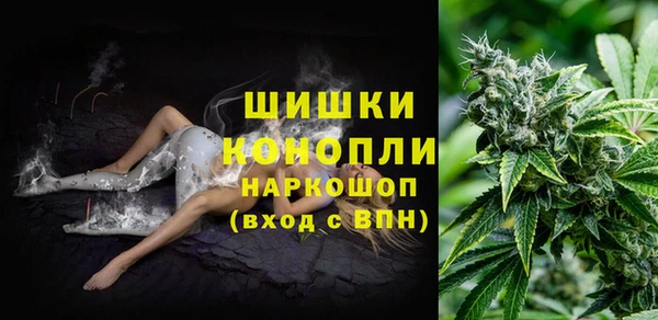 каннабис Новокубанск