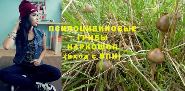 стафф Нефтегорск
