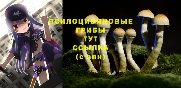 каннабис Новокубанск
