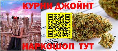 крисы Гай