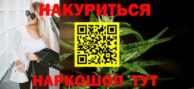 крисы Гай