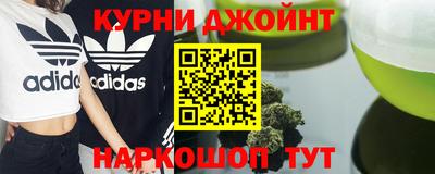 крисы Гай