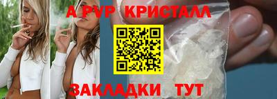 крисы Гай