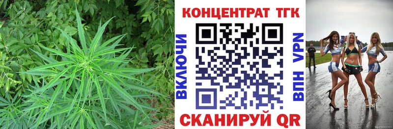 OMG зеркало  Зеленокумск  ТГК жижа 