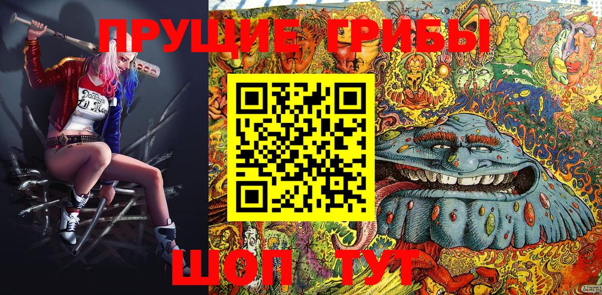 где найти наркотики  Псилоцибиновые грибы Magic Shrooms  Вход с VPN  Зеленокумск 